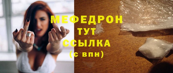 МДПВ Инсар