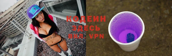 индика Яранск