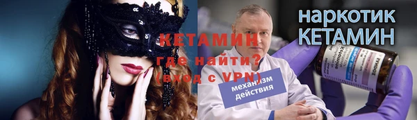 индика Яранск