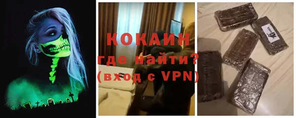 МДПВ Инсар