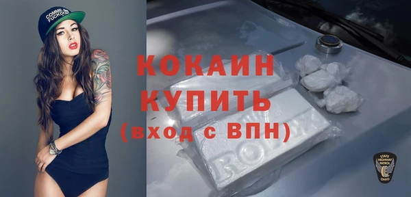 МДПВ Инсар