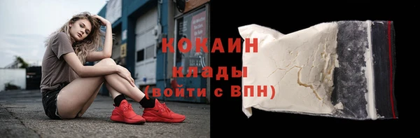 МДПВ Инсар