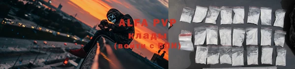 твердый Инта