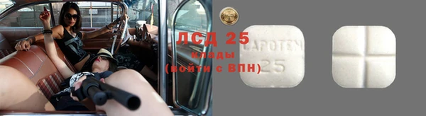 МДПВ Инсар