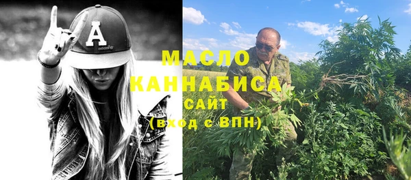 твердый Инта