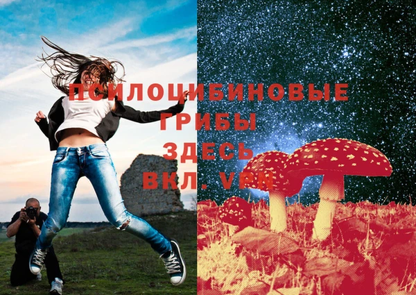 крисы Иннополис