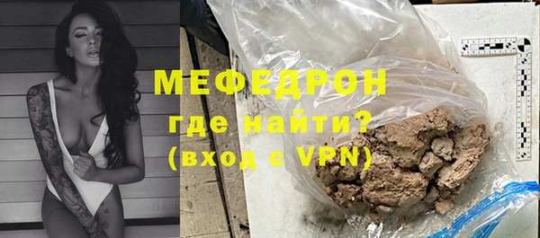 индика Яранск