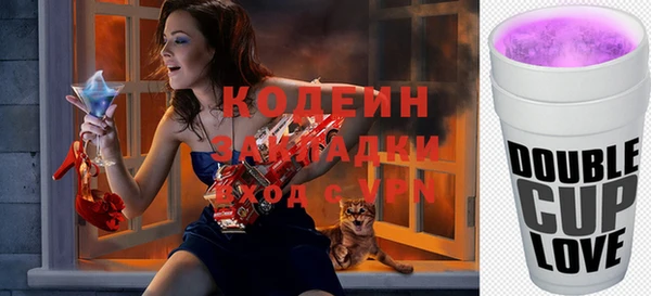 твердый Инта